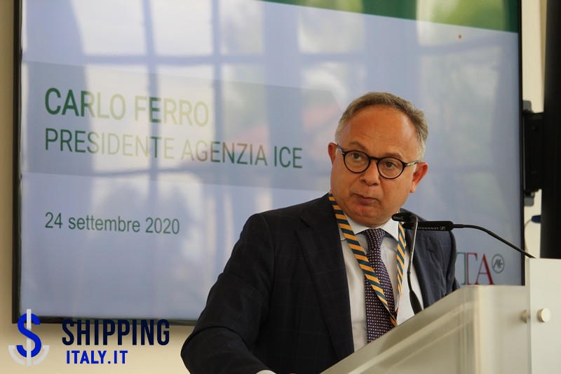 Ferro Carlo (Ice) NC 8971