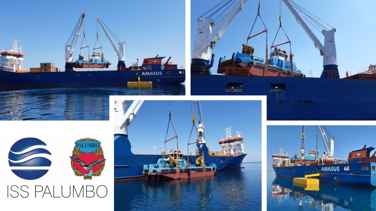 Iss Palumbo multicat