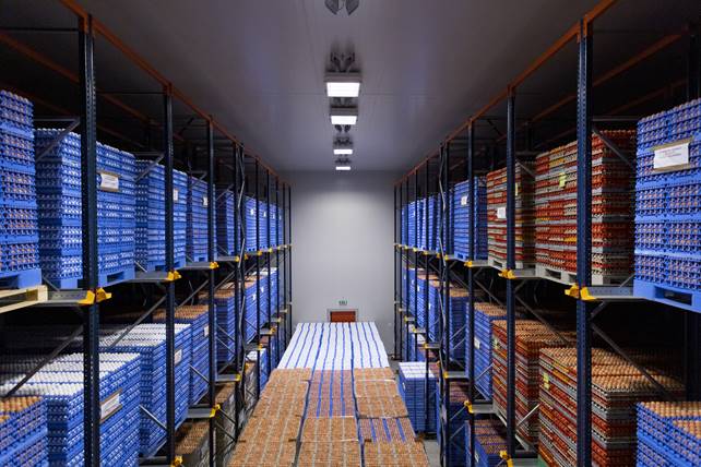 Venice Cold Stores 2