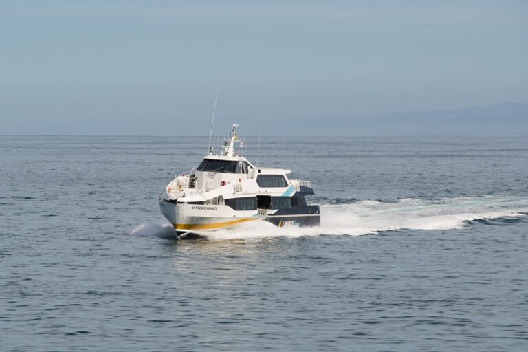 Liberty Lines – Vittroio Morace (4)