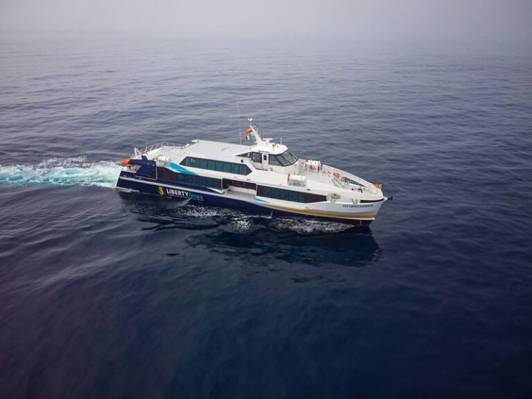 Liberty Lines – Vittroio Morace (8)