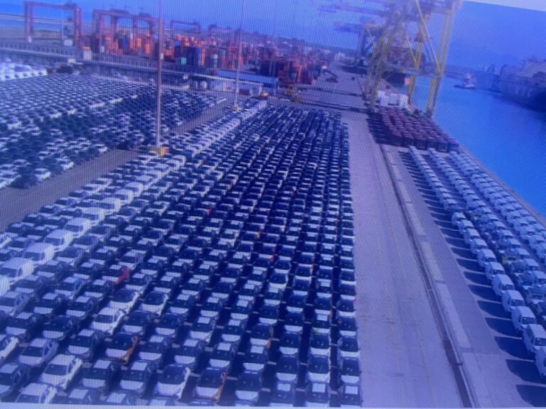 Terminal darsena Toscana auto nuove