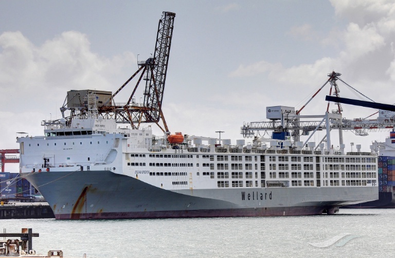 Ocean Drover (Wellard)