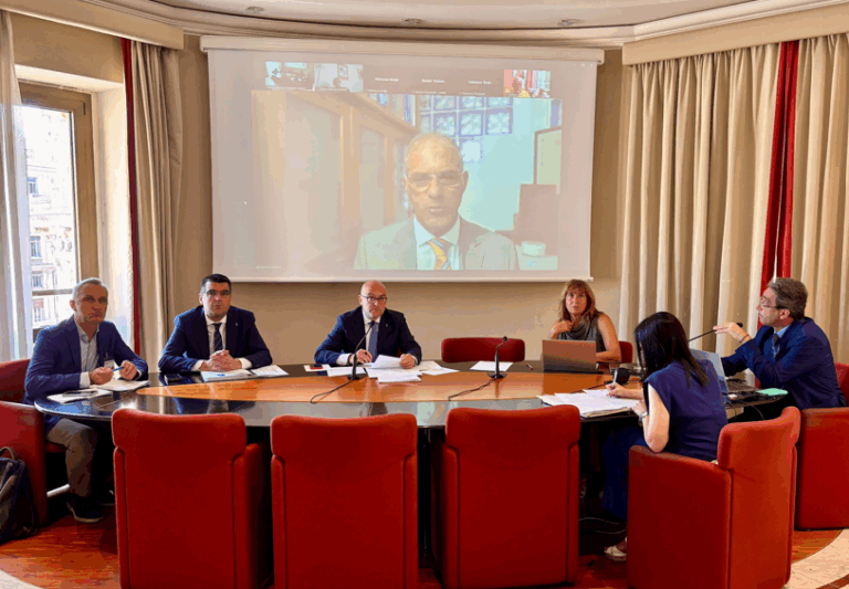 Comitato di indirizzo Zls Genova