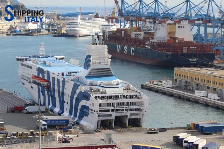 Excellent (GNV) Msc Anzu