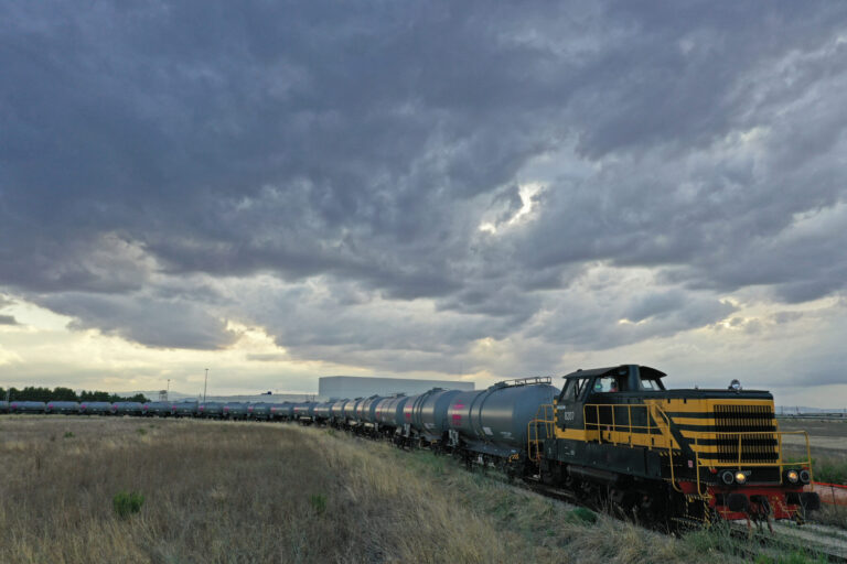 Incoronata Lotras Fhp