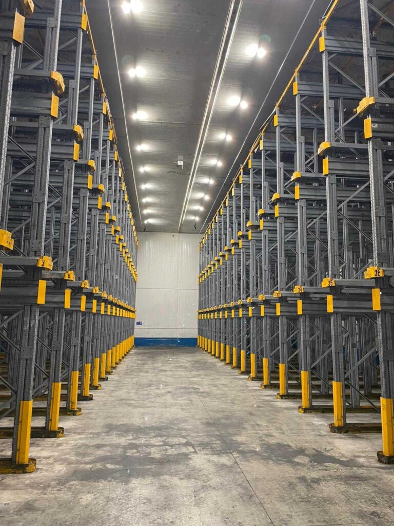 Livorno Reefer 1 –