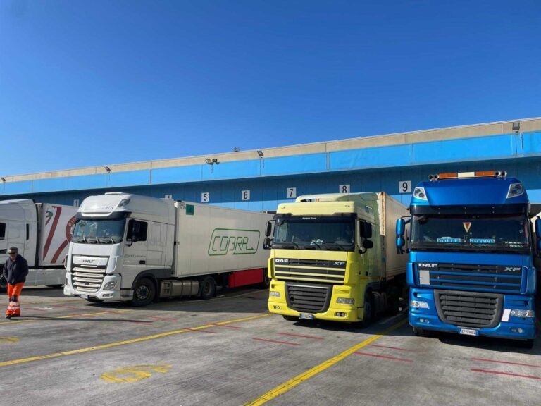 Livorno Reefer 4 –