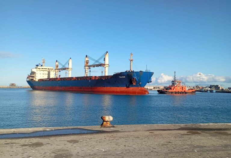 Tulpar bulk carrier a Vasto (2)