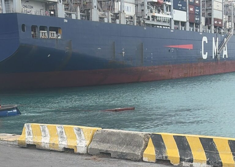 Genoa Port Terminal container vuoto in mare