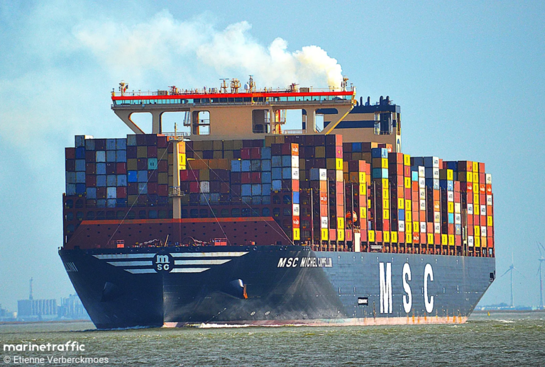 Msc Michel Cappellini